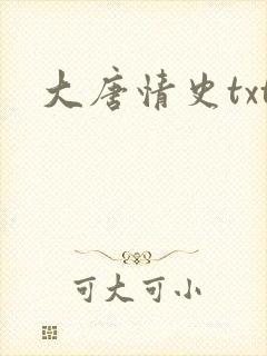 大唐情史txt