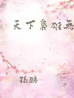 天下枭雄无弹窗