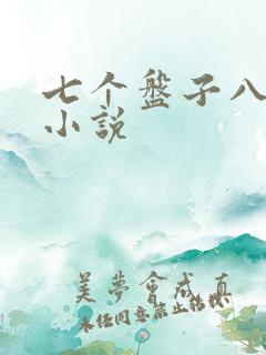 七个盘子八个碗小说