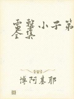 电击小子第二部全集