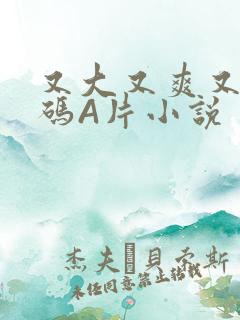 又大又爽又黄无码A片小说