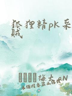 狐狸精pk采花贼