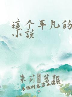 这个平凡的男子小说