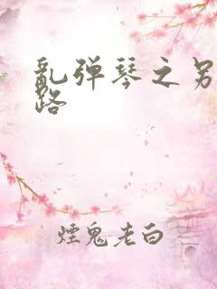 乱弹琴之另一条路