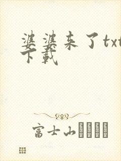 婆婆来了txt下载
