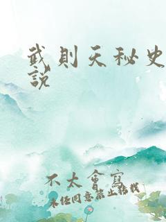 武则天秘史 小说