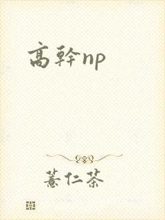 高干np