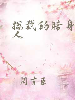 总裁的赔身小情人