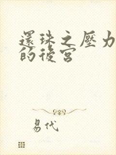 还珠之压力山大的后宫