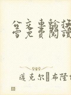 公交车轮换C程雪免费阅读