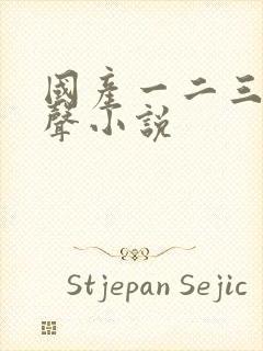 国产一二三区有声小说