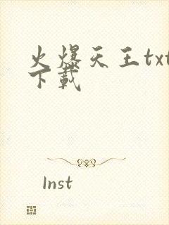 火爆天王txt下载