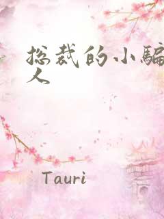 总裁的小骗子情人