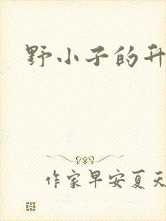 野小子的升官路