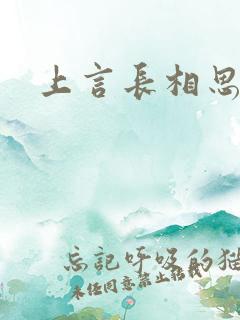 上言长相思