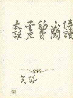 太子的小侍妾小说免费阅读全文