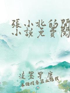 张小北的开光师小说免费阅读怎么没有276章