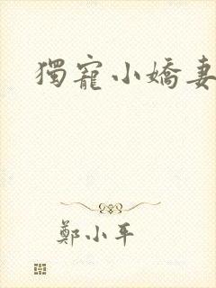 独宠小娇妻