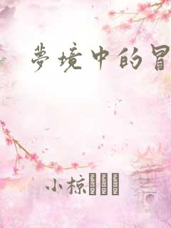 梦境中的冒险家