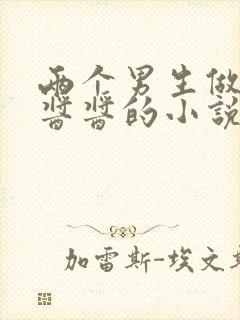两个男生做酿酿酱酱的小说