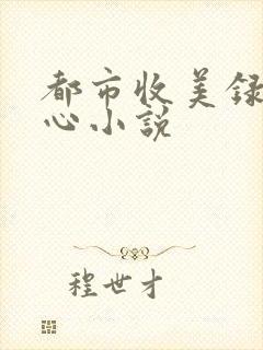 都市收美录宁素心小说
