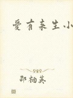 爱有来生小说