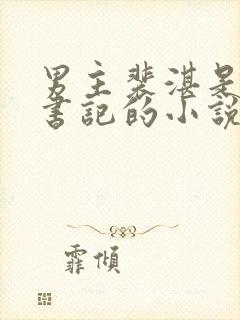 男主裴湛是省委书记的小说