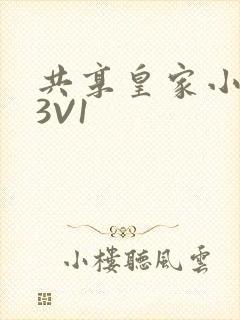 共享皇家小公主3V1