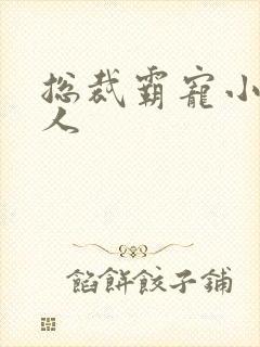 总裁霸宠小小女人