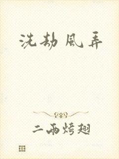 洗劫 风弄