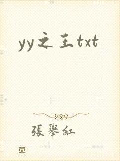 yy之王txt
