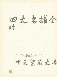 四大名捕全集txt