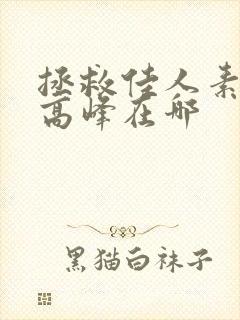 拯救佳人素柔 高峰在哪