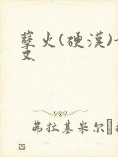 孽火(硬汉)今又