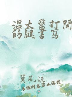 温太医打开眉庄的腿书写