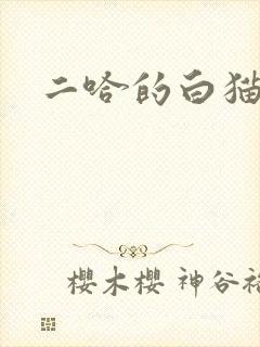 二哈的白猫师尊