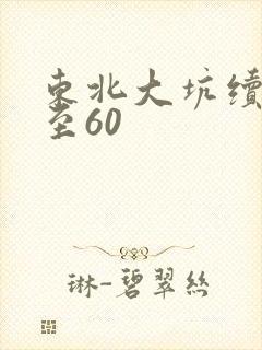 东北大坑续集1至60