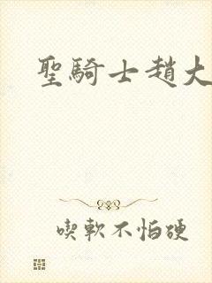 圣骑士赵大牛