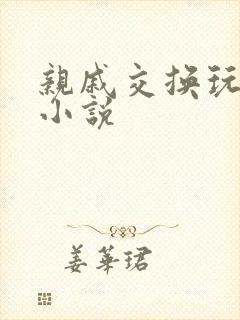 亲戚交换玩美妇小说