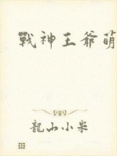 战神王爷萌虎妃