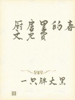 厨房里的春天全文免费