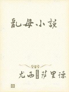 乱母小说