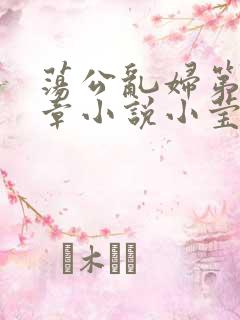 荡公乱妇第51章小说小莹