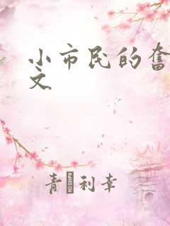 小市民的奋斗燃文