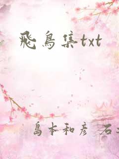 飞鸟集txt