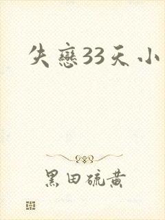 失恋33天小说