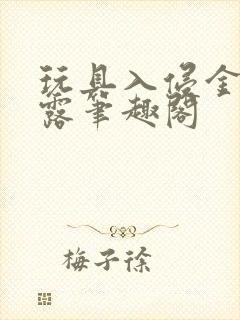 玩具入侵金银花露笔趣阁