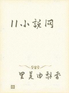 11小说网