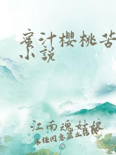 蜜汁樱桃苦咖啡小说