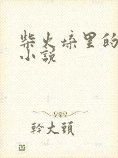 柴火垛里的疯狂小说